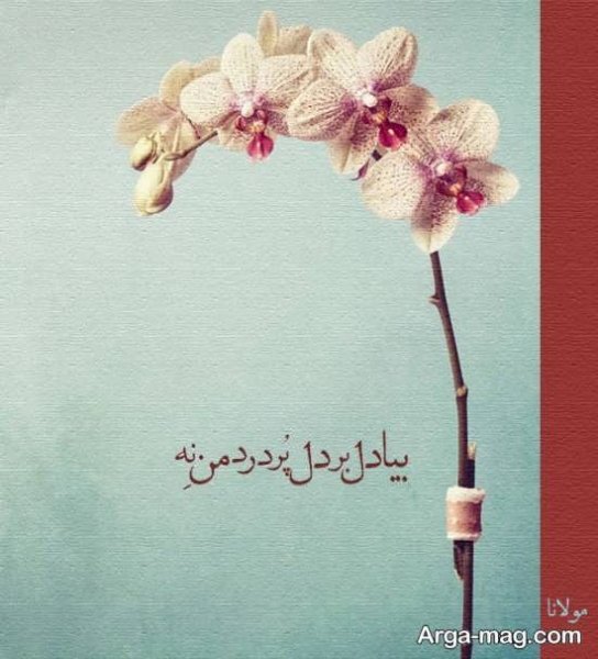  عکس شعر دلتنگی از مولانا