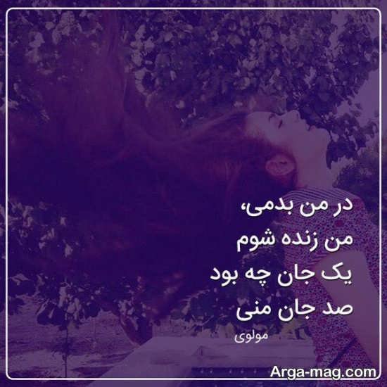  عکس شعر دلتنگی از مولانا