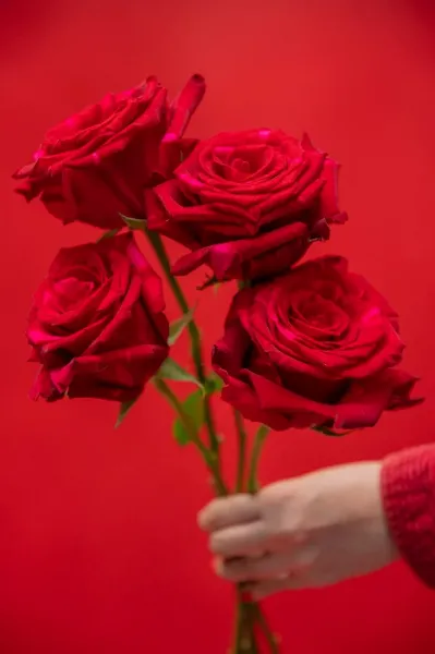  دانلود پروفایل گل با کیفیت بالا