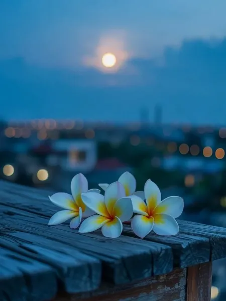  دانلود پروفایل گل با کیفیت بالا