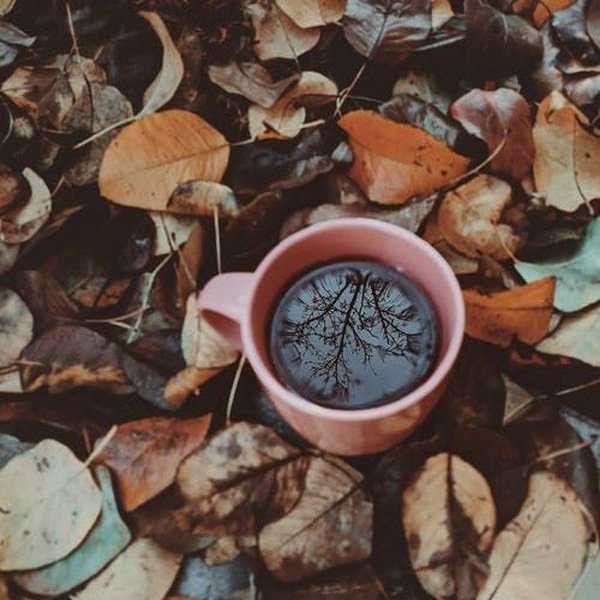  عکس پروفایل جدید