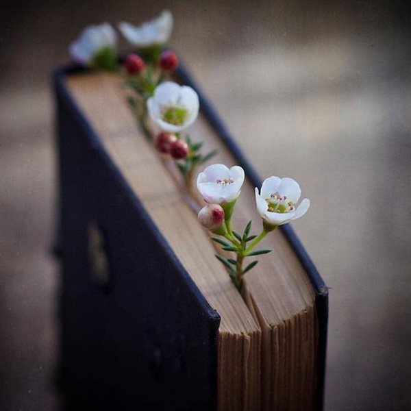  عکس پروفایل جدید