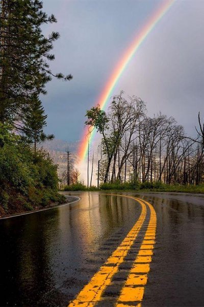  تصویر پس زمینه موبایل