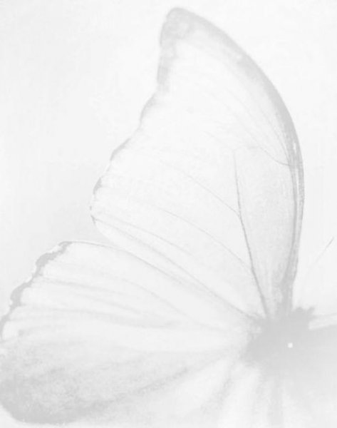  تصویر پس زمینه موبایل