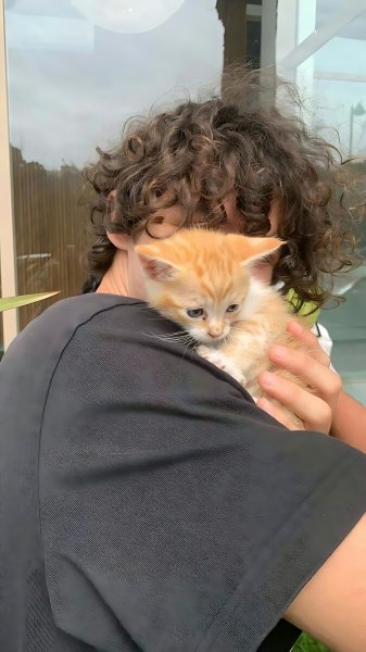  عکس پس زمینه موبایل پسرانه