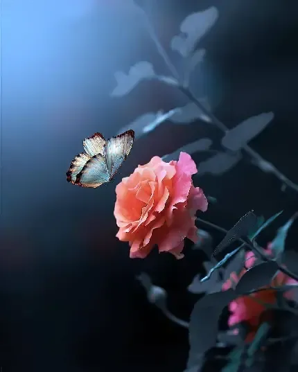  عکس گل برای پس زمینه گوشی موبایل