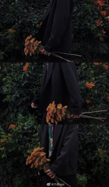  دانلود پس زمینه موبایل با کیفیت بالا