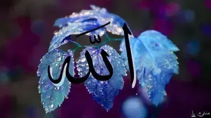  عکس	 پس زمینه الله برای گوشی