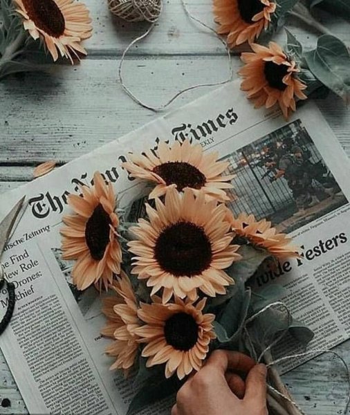  عکس پس زمینه گوشی موبایل باحال