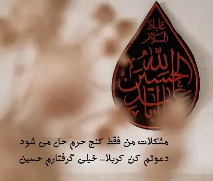  تصویر زمینه امام حسین hd