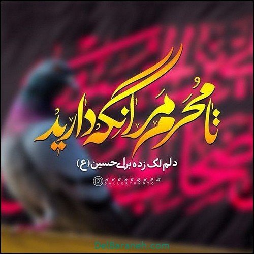  عکس یا حسین برای پروفایل واتساپ