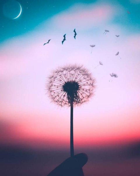  عکس پروفایل بدون تکست