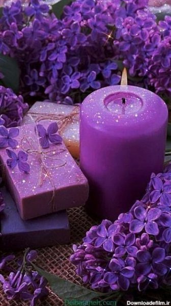  پس زمینه تماس بنفش