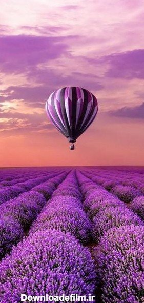  پس زمینه تماس بنفش