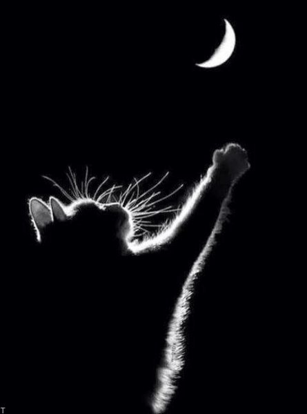  پس زمینه دارک پسرانه