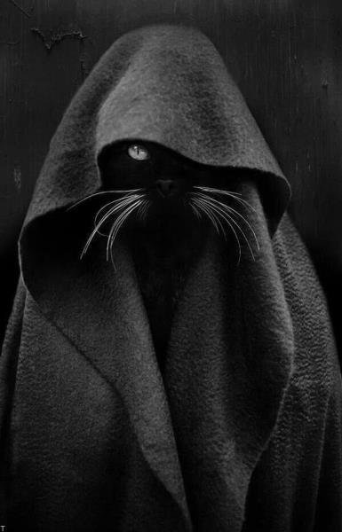  پس زمینه دارک پسرانه