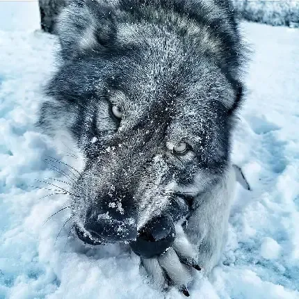  والپیپر دارک ترسناک
