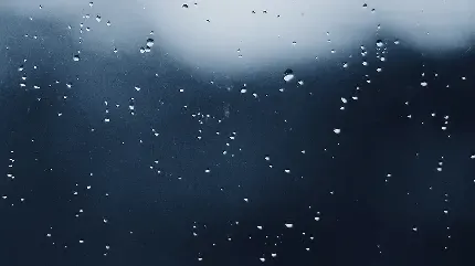  والپیپر جدید ویندوز 11