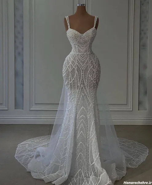  عکس زیباترین لباس عروس دنیا