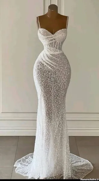  عکس زیباترین لباس عروس دنیا