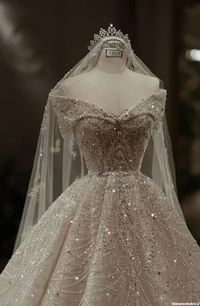  عکس زیباترین لباس عروس دنیا