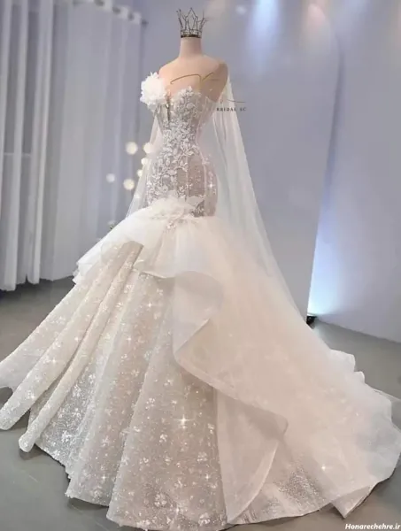  عکس زیباترین لباس عروس دنیا