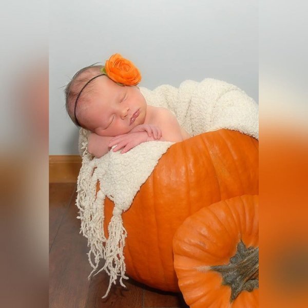  ایده عکس هالووین نوزاد جدید