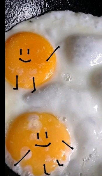  عکس فیک غذا خانگی