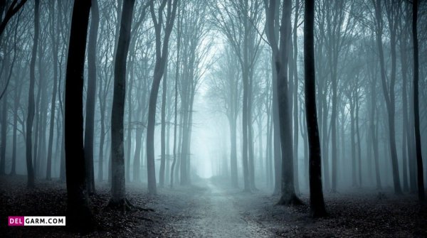  عکس خیلی ترسناک برای پروفایل (+18)