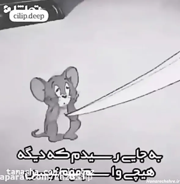  عکس تام برای پروفایل