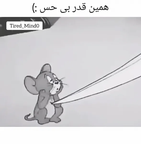  عکس تام برای پروفایل