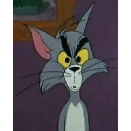  عکس تام برای پروفایل