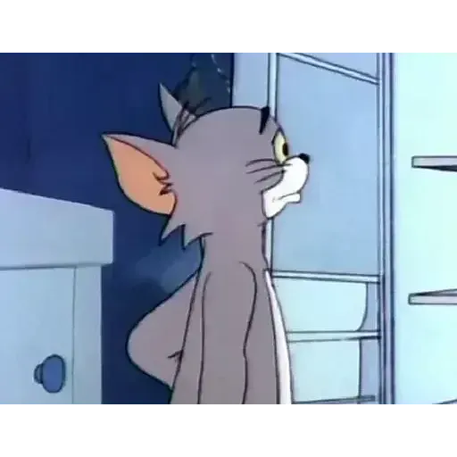  عکس تام برای پروفایل