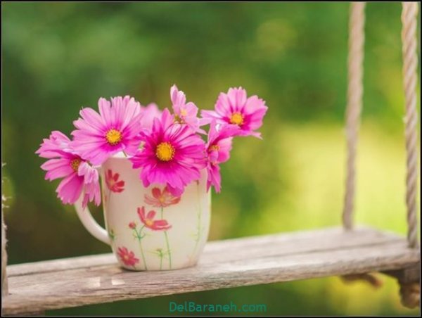  عکس گل های زیبا برای پروفایل