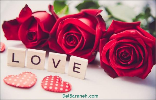  عکس گل های زیبا برای پروفایل