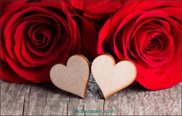  عکس گل های زیبا برای پروفایل