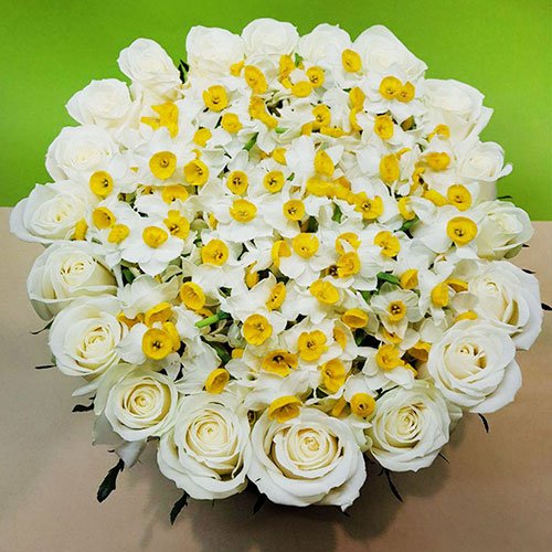  عکس گل نرگس برای استوری