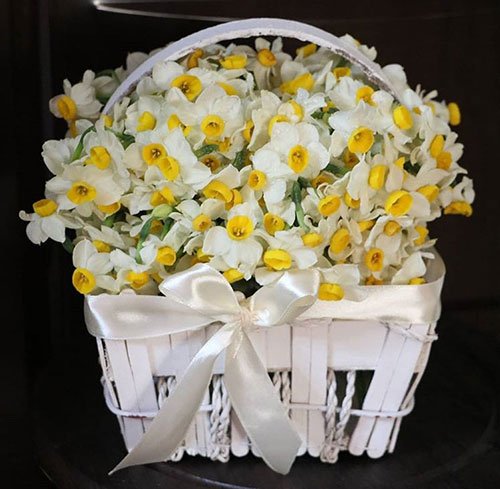  عکس گل نرگس برای استوری