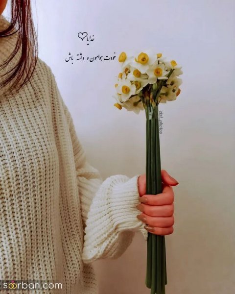  عکس دسته گل نرگس برای پروفایل