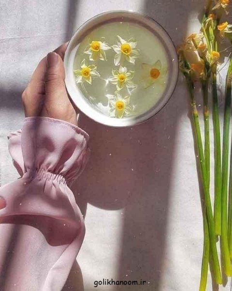  عکس دسته گل نرگس برای پروفایل