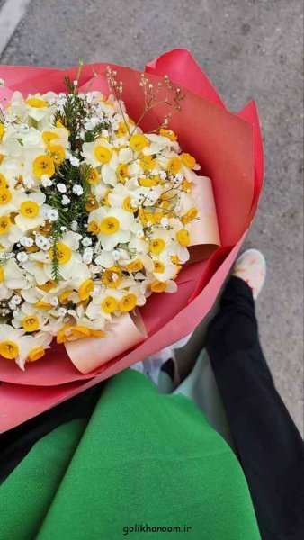  عکس دسته گل نرگس برای پروفایل