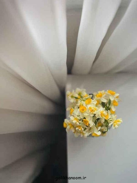  عکس دسته گل نرگس برای پروفایل
