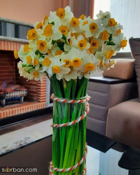  عکس دسته گل نرگس برای پروفایل