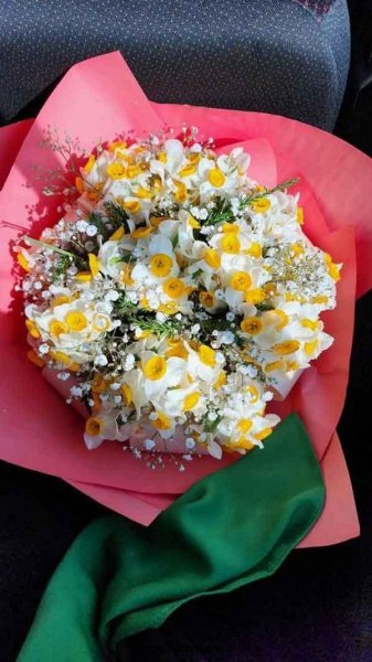  عکس دسته گل نرگس برای پروفایل