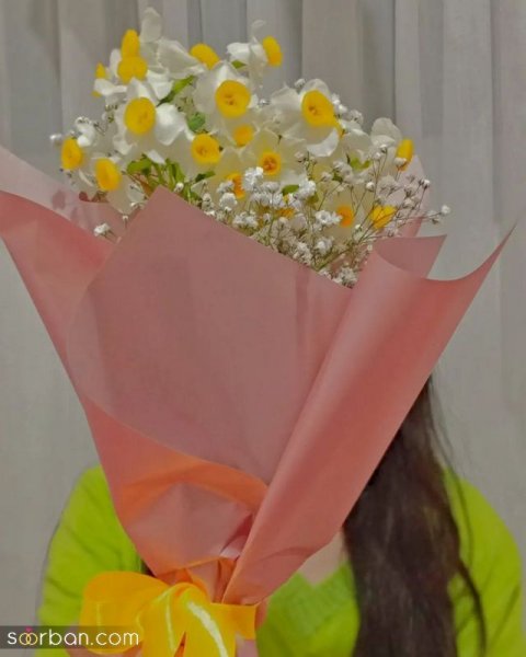  عکس دسته گل نرگس برای پروفایل