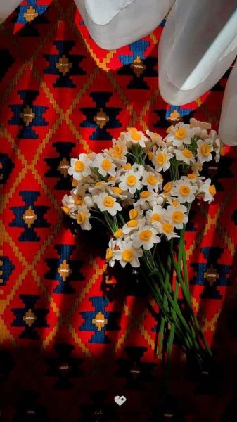  عکس دسته گل نرگس برای پروفایل