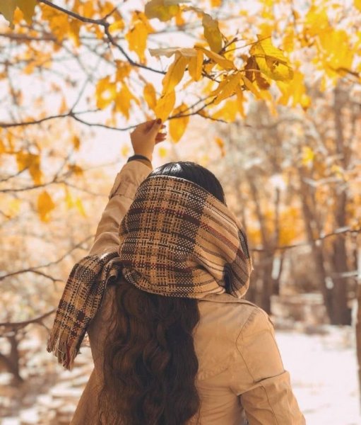  عکس لاکچری شیک و خاص