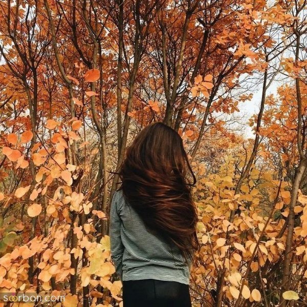  عکس های لاکچری ترند امسال