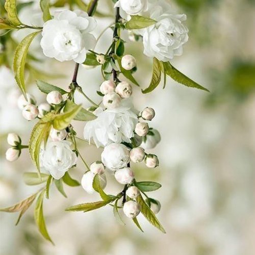  عکس های لاکچری پرطرفدار