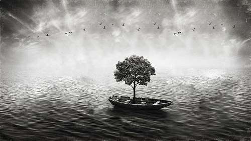  دانلود عکس لاکچری سیاه و سفید